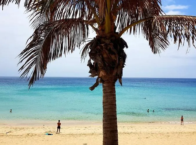 Your Ocean * Costa Calma