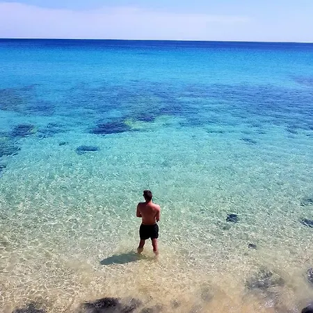Your Ocean