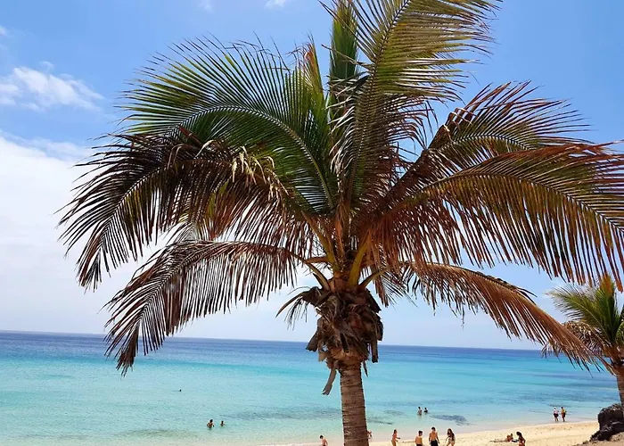 Your Ocean Κόστα Κάλμα