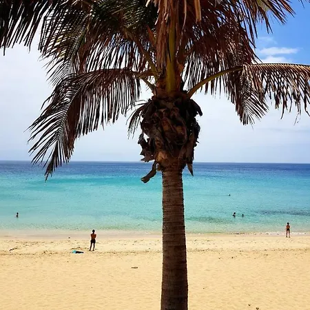 Your Ocean * Costa Calma