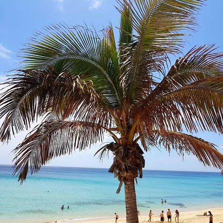 Your Ocean Costa Calma