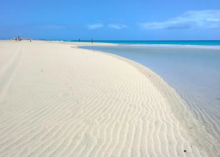 Your Ocean Apartamento